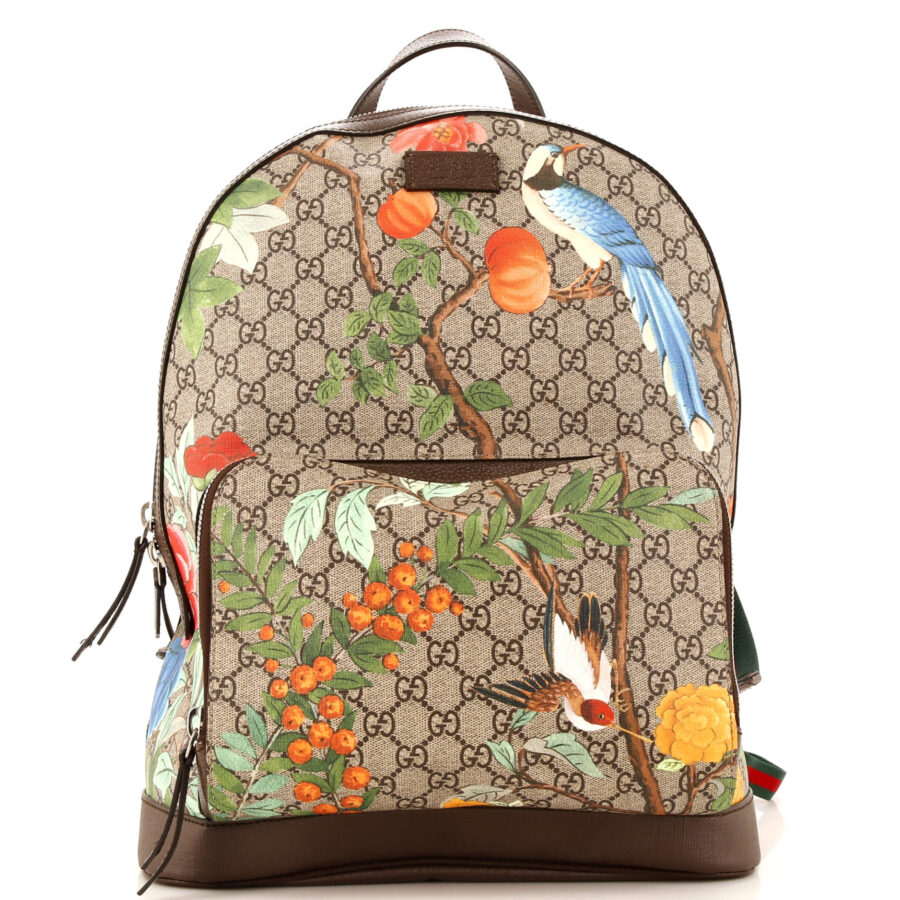 Designer Backpack bag – front view