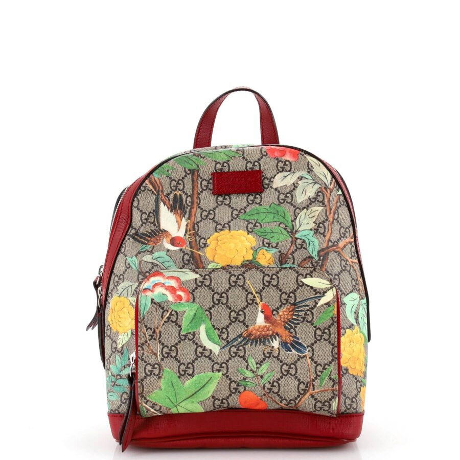 Designer Backpack bag – front view